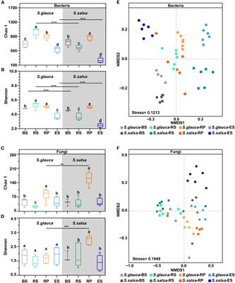 Microbial community assembly and functional profiles along the soil-root continuum of salt-tolerant Suaeda glauca and Suaeda salsa